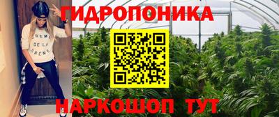 ешки Камышлов